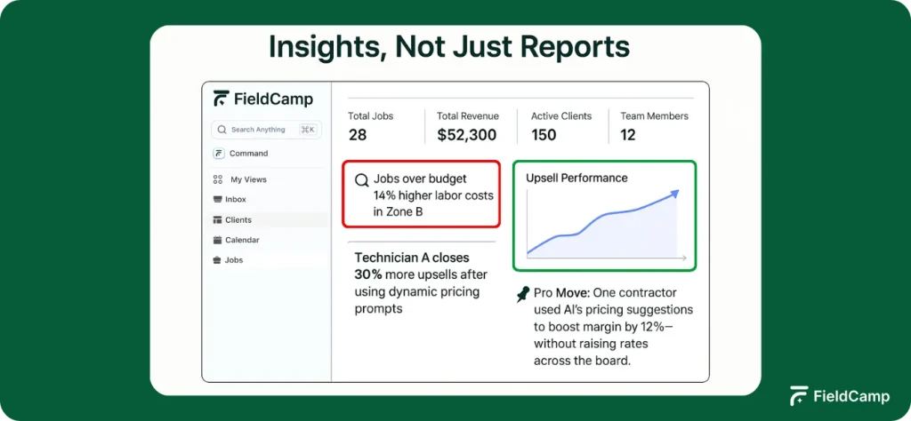 insights-not-just-reports