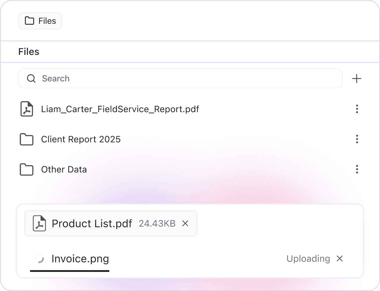 why field File Management