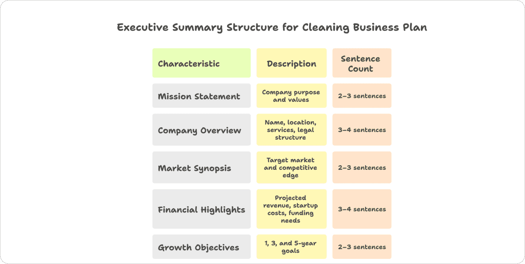 visual image of executive summary structure of cleaning business plan