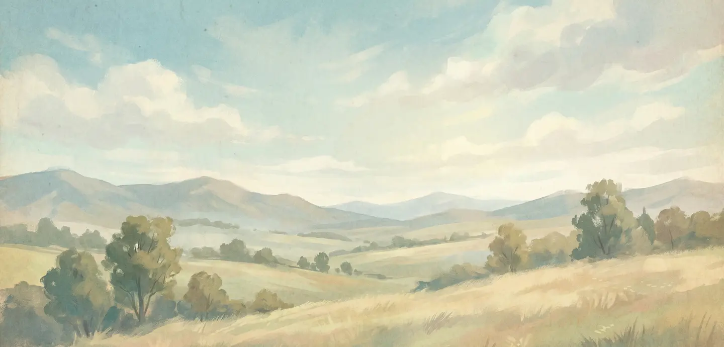 hero section video bg
